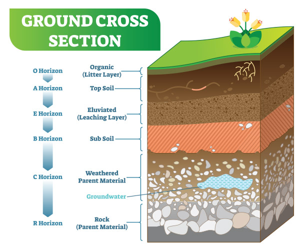 soil cross section