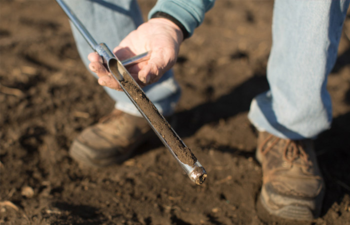 residential soil testing